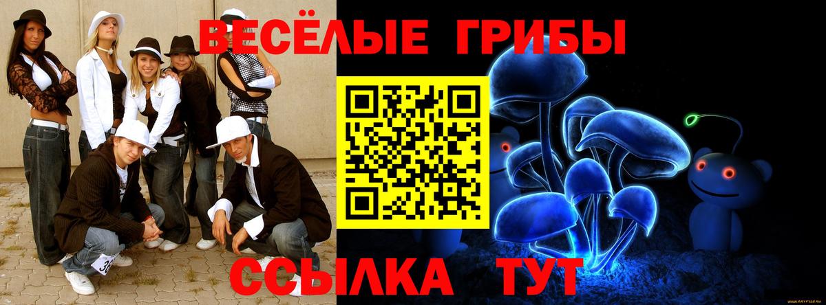 Псилоцибиновые грибы ЛСД  наркота  Кувандык  Вход с VPN 